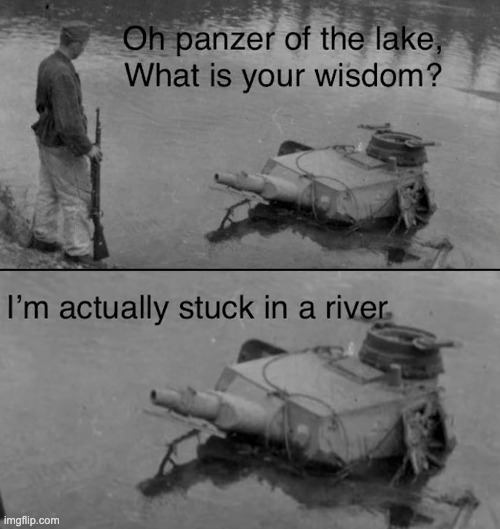 He's actually stuck in a river guys | image tagged in memes,unfunny | made w/ Imgflip meme maker