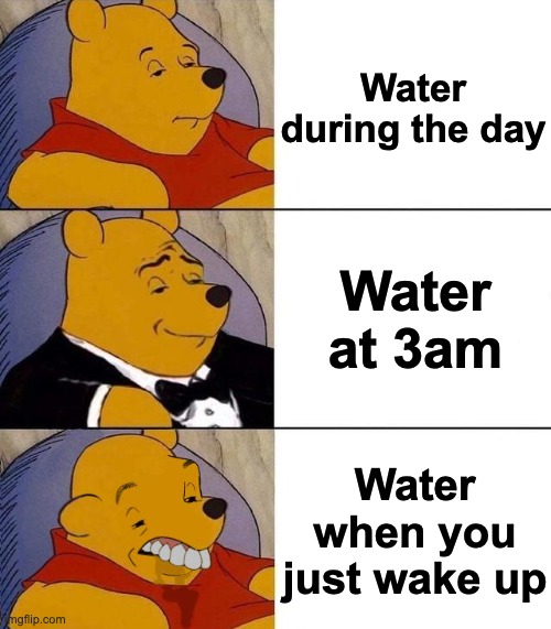 Disgusting | Water during the day; Water at 3am; Water when you just wake up | image tagged in best better blurst,memes,unfunny | made w/ Imgflip meme maker