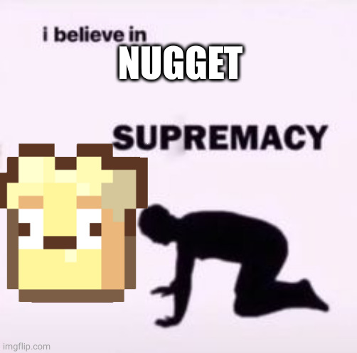 Fun fact:I like nugget | NUGGET | image tagged in i believe in supremacy | made w/ Imgflip meme maker