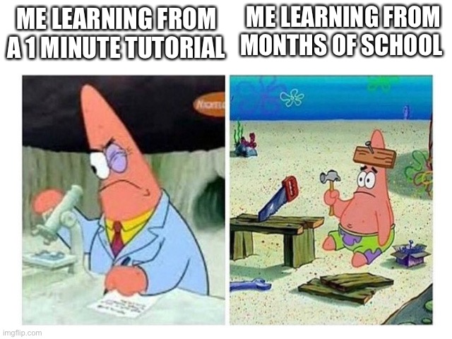 Yeah… | ME LEARNING FROM MONTHS OF SCHOOL; ME LEARNING FROM A 1 MINUTE TUTORIAL | image tagged in patrick scientist vs nail | made w/ Imgflip meme maker