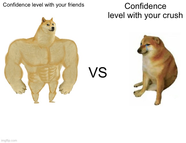 Buff Doge vs. Cheems Meme | Confidence level with your friends; Confidence level with your crush; VS | image tagged in memes,buff doge vs cheems | made w/ Imgflip meme maker