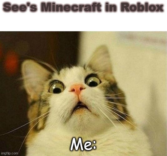 Minecraft vs roblox #2 |  See's Minecraft in Roblox; Me: | image tagged in memes,scared cat,minecraft,roblox,funny memes | made w/ Imgflip meme maker