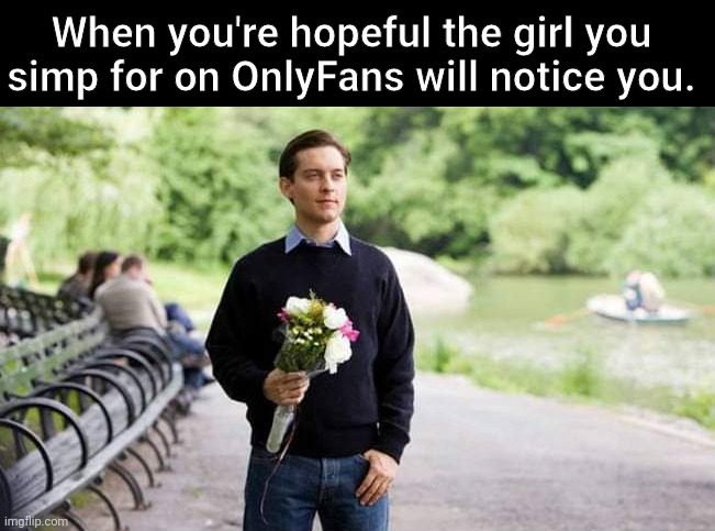When you're hopeful the girl you simp for on OnlyFans will notice you. | image tagged in onlyfans | made w/ Imgflip meme maker