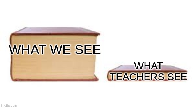 Big book small book | WHAT TEACHERS SEE; WHAT WE SEE | image tagged in big book small book | made w/ Imgflip meme maker