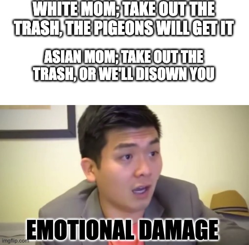 emotional damage | WHITE MOM; TAKE OUT THE TRASH, THE PIGEONS WILL GET IT; ASIAN MOM; TAKE OUT THE TRASH, OR WE'LL DISOWN YOU; EMOTIONAL DAMAGE | image tagged in emotional damage | made w/ Imgflip meme maker