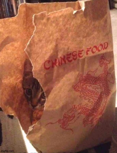 Chinese Food Not So Well Done | image tagged in chinese food not so well done | made w/ Imgflip meme maker