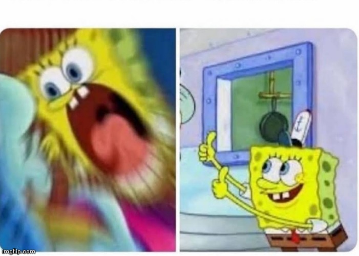 New Template! | image tagged in who took my- oh found it,new template | made w/ Imgflip meme maker