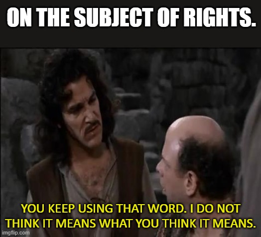 You keep using that word... | ON THE SUBJECT OF RIGHTS. YOU KEEP USING THAT WORD. I DO NOT THINK IT MEANS WHAT YOU THINK IT MEANS. | image tagged in you keep using that word | made w/ Imgflip meme maker