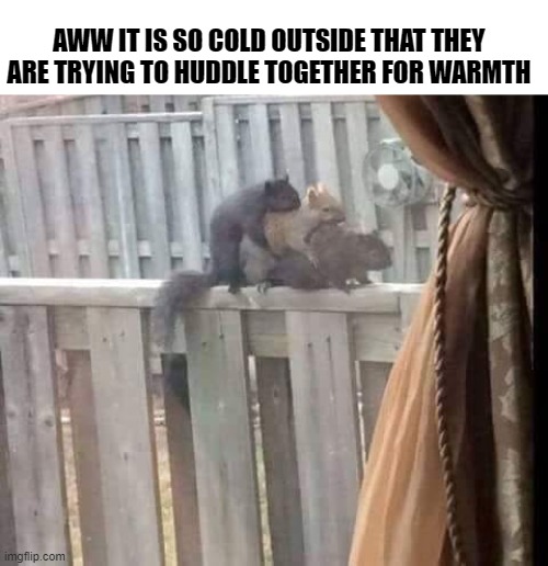 AWW IT IS SO COLD OUTSIDE THAT THEY ARE TRYING TO HUDDLE TOGETHER FOR WARMTH | made w/ Imgflip meme maker