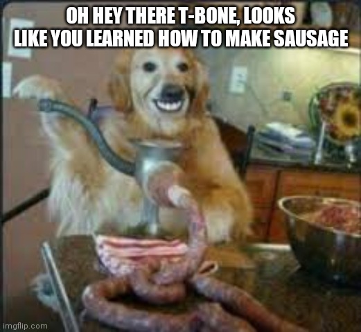 MEAT DOG | OH HEY THERE T-BONE, LOOKS LIKE YOU LEARNED HOW TO MAKE SAUSAGE | image tagged in meat dog | made w/ Imgflip meme maker