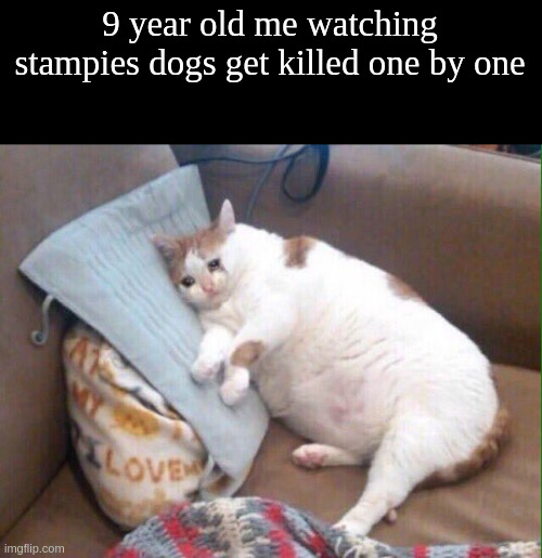 Crying cat | 9 year old me watching stampies dogs get killed one by one | image tagged in crying cat | made w/ Imgflip meme maker