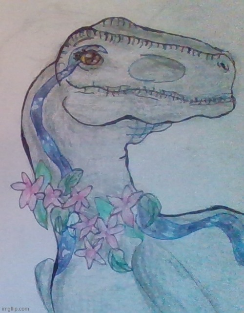 This doesn't really have my art style, but i'm extremely proud of it (blue the raptor) | image tagged in jurassic world,sketch,drawing | made w/ Imgflip meme maker