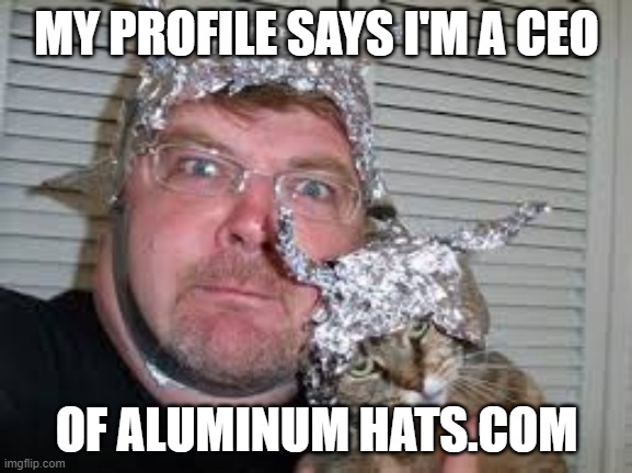 tin hat man | MY PROFILE SAYS I'M A CEO; OF ALUMINUM HATS.COM | image tagged in conspiracy theories | made w/ Imgflip meme maker