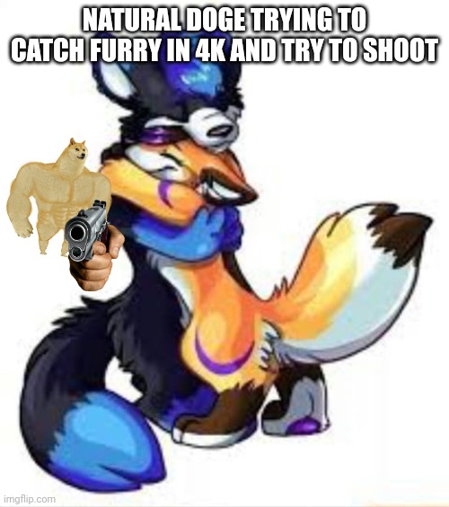 Lol 2 | NATURAL DOGE TRYING TO CATCH FURRY IN 4K AND TRY TO SHOOT | image tagged in furry hugs | made w/ Imgflip meme maker
