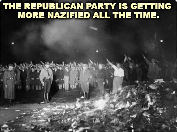 America, we've got a problem. | THE REPUBLICAN PARTY IS GETTING 
MORE NAZIFIED ALL THE TIME. | image tagged in america,republicans,neo-nazis,book,burning | made w/ Imgflip meme maker