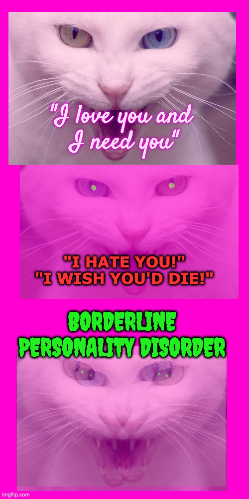 Run. Far Away. . . | "I love you and 
I need you"; "I HATE YOU!"
"I WISH YOU'D DIE!"; BORDERLINE PERSONALITY DISORDER | image tagged in blank hot pink background | made w/ Imgflip meme maker