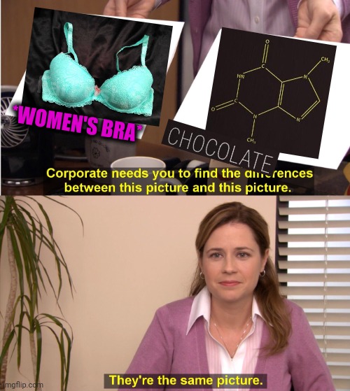 -They are both same. | *WOMEN'S BRA* | image tagged in memes,they're the same picture,totally looks like,bra,clothes,mean girls | made w/ Imgflip meme maker