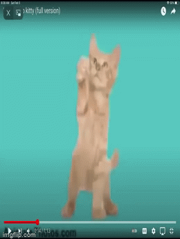 Discover 129+ anime cat dancing super hot - ceg.edu.vn