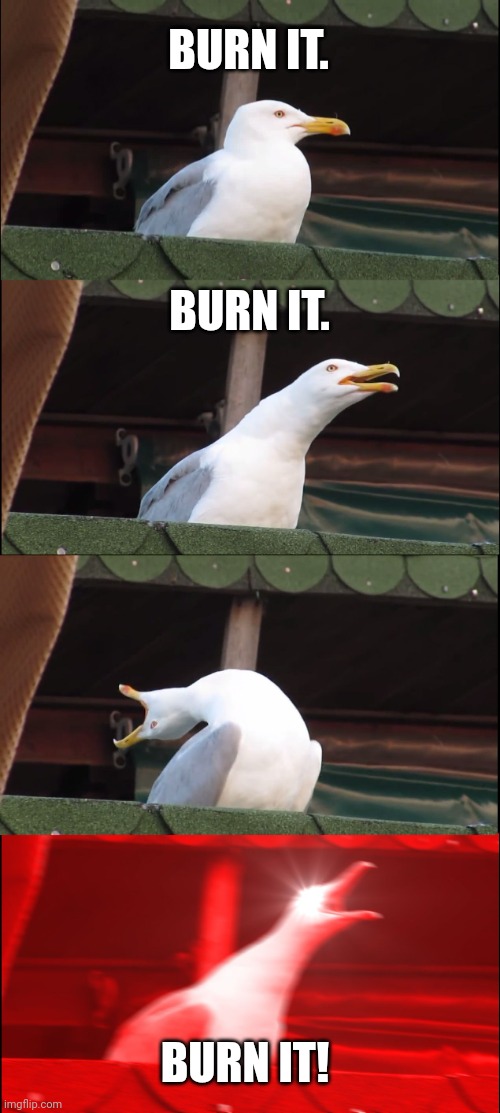 Inhaling Seagull Meme | BURN IT. BURN IT. BURN IT! | image tagged in memes,inhaling seagull | made w/ Imgflip meme maker