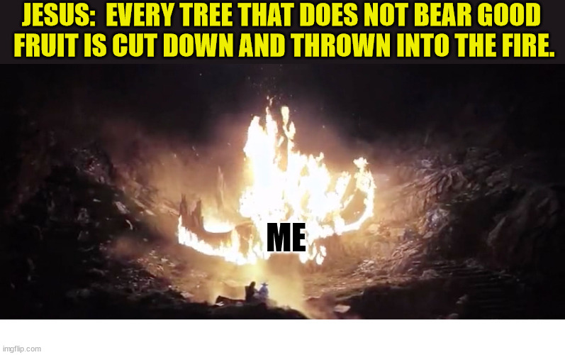 So hot right now | JESUS:  EVERY TREE THAT DOES NOT BEAR GOOD
 FRUIT IS CUT DOWN AND THROWN INTO THE FIRE. ME | image tagged in yoda luke last jedi tree fire,dank,christian,memes,r/dankchristianmemes | made w/ Imgflip meme maker