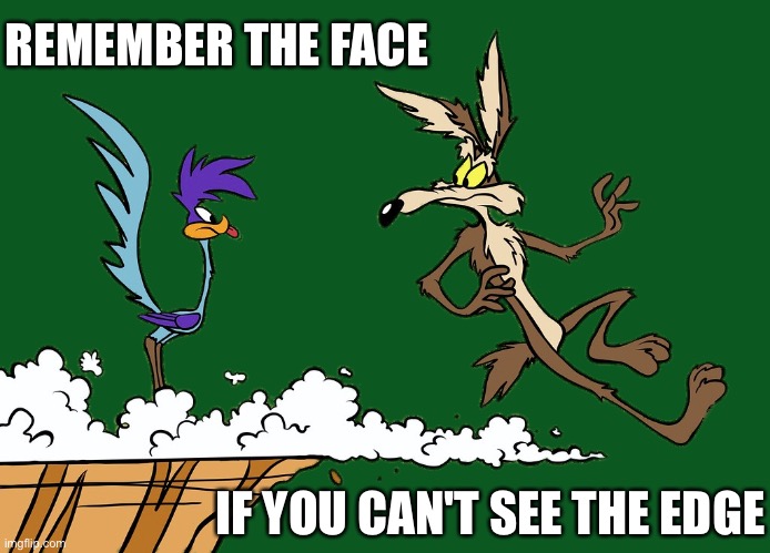 Bye Bye | REMEMBER THE FACE; IF YOU CAN'T SEE THE EDGE | image tagged in willie ethelbert coyote's cognitive misalignment,edge,face,code | made w/ Imgflip meme maker