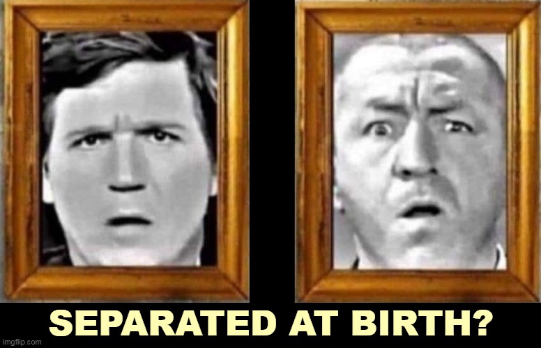 The only difference is that Tucker kills people with his clowning. | SEPARATED AT BIRTH? | image tagged in tucker carlson curly howard three stooges separated at birth,tucker carlson,curlyhoward,three stooges,dumb and dumber,clowns | made w/ Imgflip meme maker