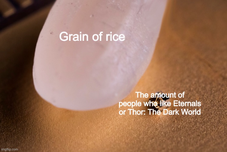 i mean, it do be kinda true | Grain of rice; The amount of people who like Eternals or Thor: The Dark World | image tagged in grain of rice,marvel,mcu,thor,thor the dark world | made w/ Imgflip meme maker