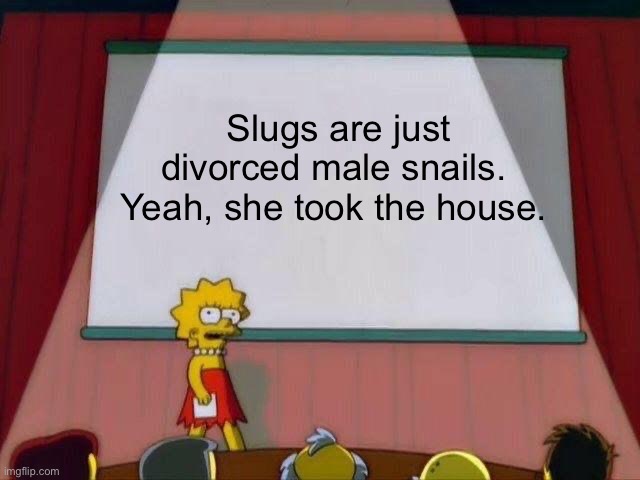 Lisa Simpson's Presentation | Slugs are just divorced male snails.  Yeah, she took the house. | image tagged in lisa simpson's presentation,snail,slug,divorce,house | made w/ Imgflip meme maker