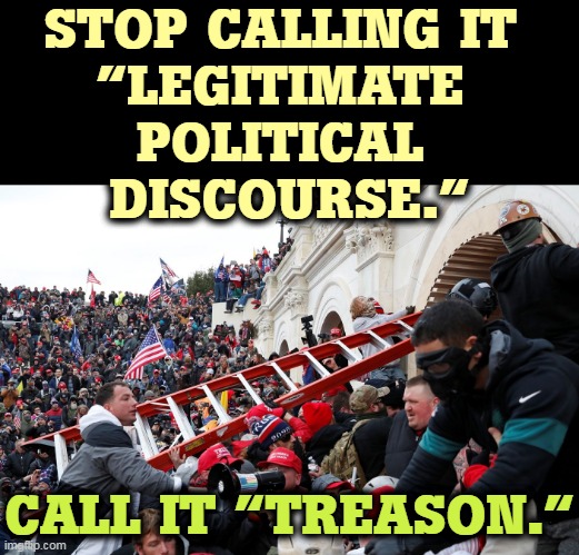 Qanon - Insurrection - Trump riot - sedition | STOP CALLING IT 
"LEGITIMATE 
POLITICAL 
DISCOURSE."; CALL IT "TREASON." | image tagged in qanon - insurrection - trump riot - sedition,capitol hill,riot,insurrection,coup | made w/ Imgflip meme maker