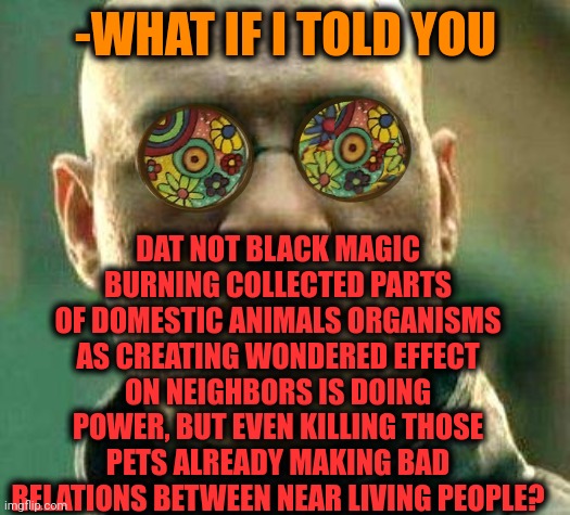 -Already not so cool. | DAT NOT BLACK MAGIC BURNING COLLECTED PARTS OF DOMESTIC ANIMALS ORGANISMS AS CREATING WONDERED EFFECT ON NEIGHBORS IS DOING POWER, BUT EVEN KILLING THOSE PETS ALREADY MAKING BAD RELATIONS BETWEEN NEAR LIVING PEOPLE? -WHAT IF I TOLD YOU | image tagged in acid kicks in morpheus,killing,farm animals,magician,spiritual,neighbors | made w/ Imgflip meme maker