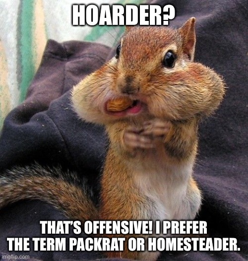 Hoarding | HOARDER? THAT’S OFFENSIVE! I PREFER THE TERM PACKRAT OR HOMESTEADER. | image tagged in hoarding squirrel,offensive | made w/ Imgflip meme maker