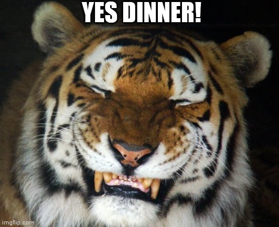 HAPPY TIGER | YES DINNER! | image tagged in happy tiger | made w/ Imgflip meme maker