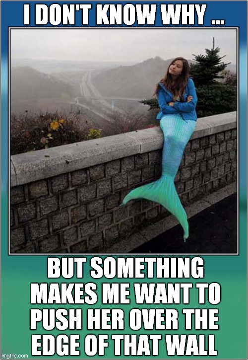 Not Another Bloody Mermaid ! | I DON'T KNOW WHY ... BUT SOMETHING MAKES ME WANT TO; PUSH HER OVER THE 
EDGE OF THAT WALL | image tagged in mermaids,over the edge,dark humour | made w/ Imgflip meme maker