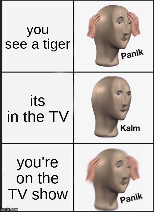 my first image | you see a tiger; its in the TV; you're on the TV show | image tagged in memes,panik kalm panik | made w/ Imgflip meme maker