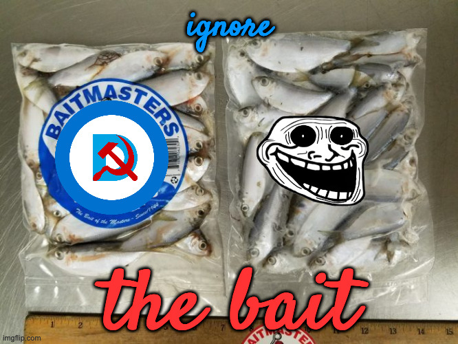 Trolls in the Politics Stream | ignore; the bait | image tagged in bait | made w/ Imgflip meme maker