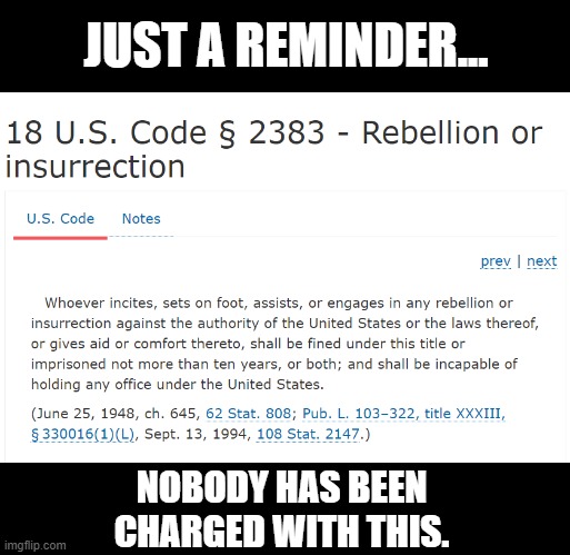 Insurrection | JUST A REMINDER... NOBODY HAS BEEN CHARGED WITH THIS. | image tagged in insurrection | made w/ Imgflip meme maker
