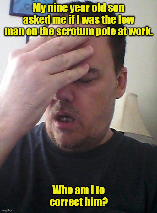 Sounds about right. | My nine year old son asked me if I was the low man on the scrotum pole at work. Who am I to correct him? | image tagged in face palm,funny | made w/ Imgflip meme maker