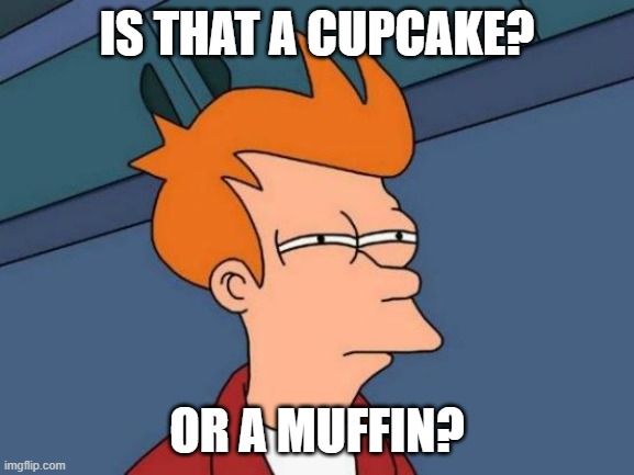 Futurama Fry Meme | IS THAT A CUPCAKE? OR A MUFFIN? | image tagged in memes,futurama fry | made w/ Imgflip meme maker