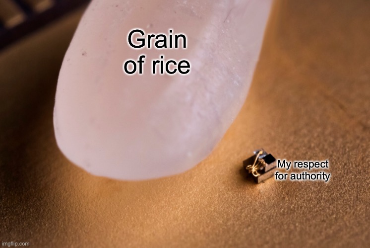 Grain Of Rice | Grain of rice; My respect for authority | image tagged in grain of rice | made w/ Imgflip meme maker