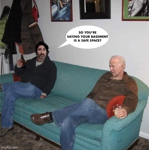 How to avoid the press and win elections | SO YOU’RE SAYING YOUR BASEMENT IS A SAFE SPACE? | image tagged in justin and joe | made w/ Imgflip meme maker