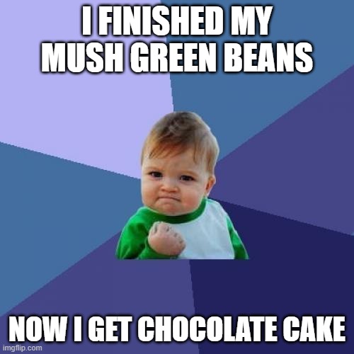 Baby Get Chocolate Cake | I FINISHED MY MUSH GREEN BEANS; NOW I GET CHOCOLATE CAKE | image tagged in memes,success kid | made w/ Imgflip meme maker