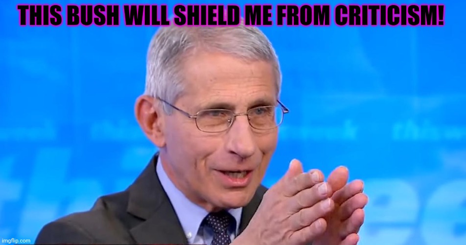 Dr. Fauci 2020 | THIS BUSH WILL SHIELD ME FROM CRITICISM! | image tagged in dr fauci 2020 | made w/ Imgflip meme maker