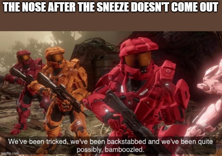 We've been tricked | THE NOSE AFTER THE SNEEZE DOESN'T COME OUT | image tagged in we've been tricked | made w/ Imgflip meme maker