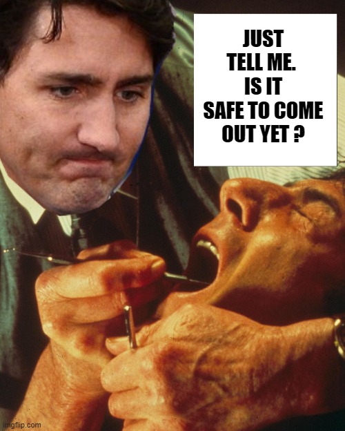 3 Days of the Condor. Justin Turdeau vs The Truckers | JUST TELL ME. 
IS IT SAFE TO COME OUT YET ? | image tagged in justin trudeau,trucker convoy,convoy,is it safe | made w/ Imgflip meme maker