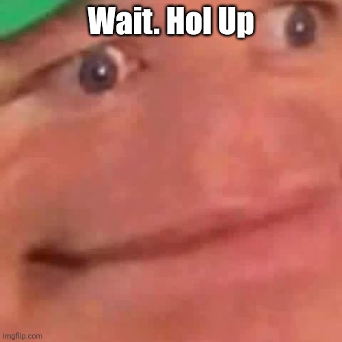 Wait Hol Up | Wait. Hol Up | image tagged in wait hol up | made w/ Imgflip meme maker