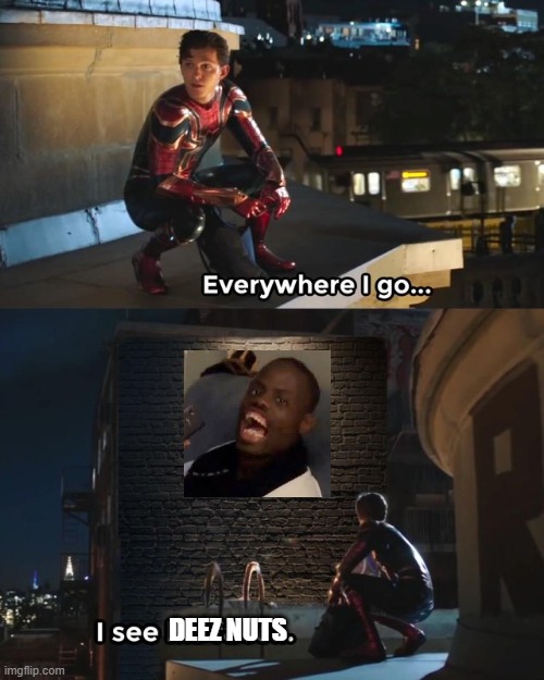 why do people do this | DEEZ NUTS | image tagged in everywhere i go i see his face | made w/ Imgflip meme maker