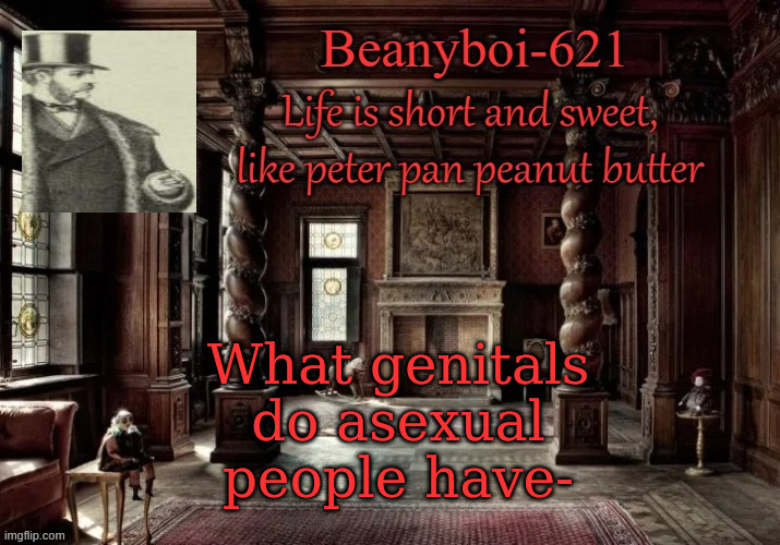 victorian beany | What genitals do asexual people have- | image tagged in victorian beany | made w/ Imgflip meme maker