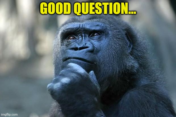 Deep Thoughts | GOOD QUESTION... | image tagged in deep thoughts | made w/ Imgflip meme maker