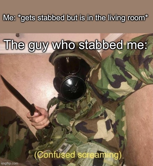 NEIN | Me: *gets stabbed but is in the living room*; The guy who stabbed me: | image tagged in soldier with mask screaming | made w/ Imgflip meme maker