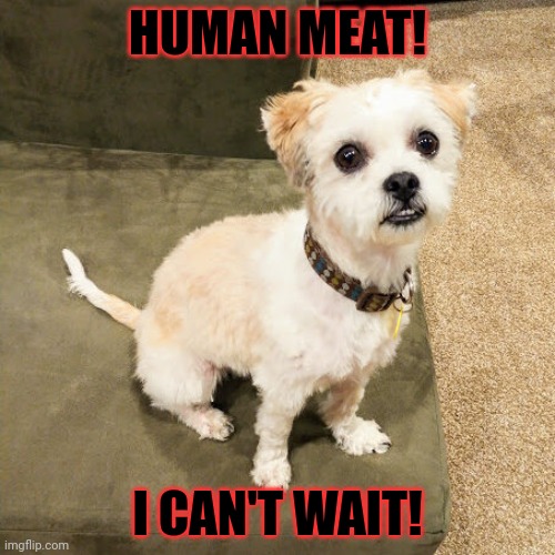 HUMAN MEAT! I CAN'T WAIT! | made w/ Imgflip meme maker